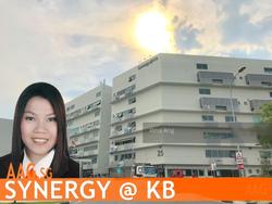 Synergy @ KB (D14), Factory #155413092